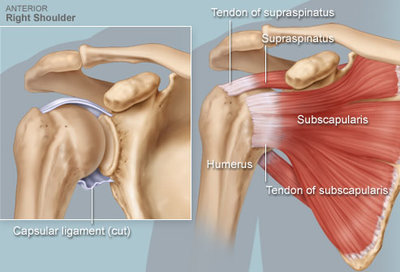 rotator-cuff.jpg