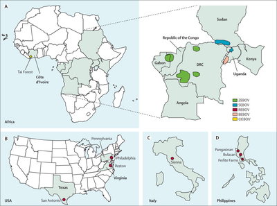 Ebola killing grounds.jpg